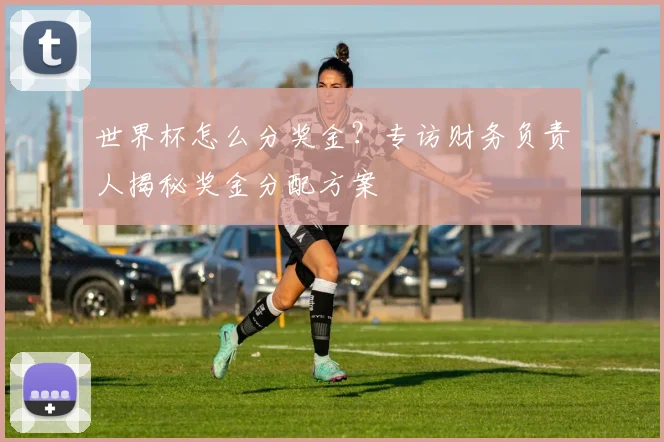 世界杯怎么分奖金？专访财务负责人揭秘奖金分配方案