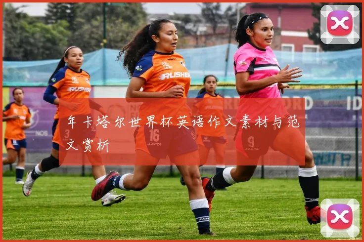 年卡塔尔世界杯英语作文素材与范文赏析