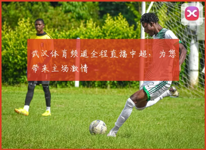 武汉体育频道全程直播中超,为您带来主场激情