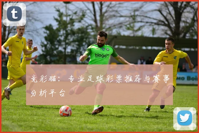 竞彩猫:专业足球彩票推荐与赛事分析平台