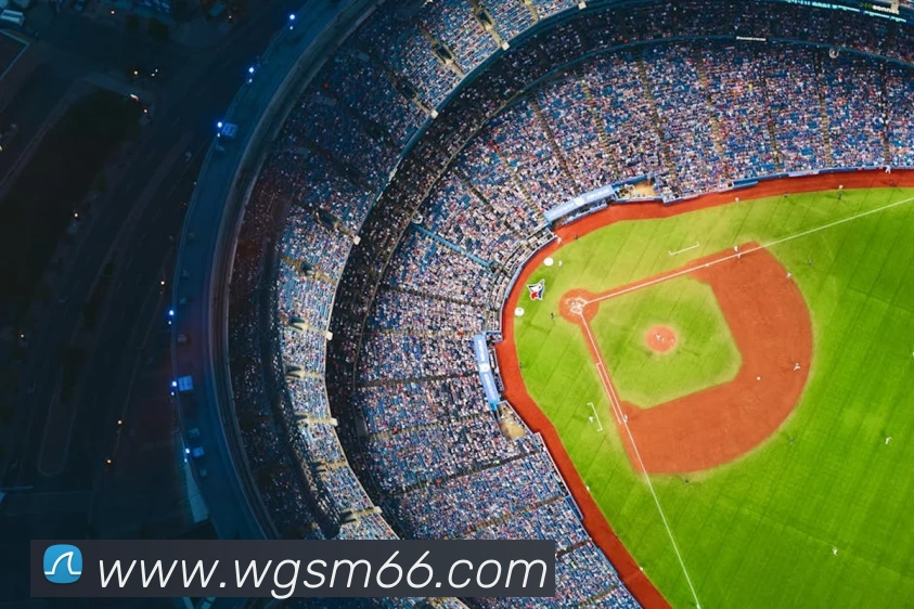 云开体育app官网入口app平台生态图