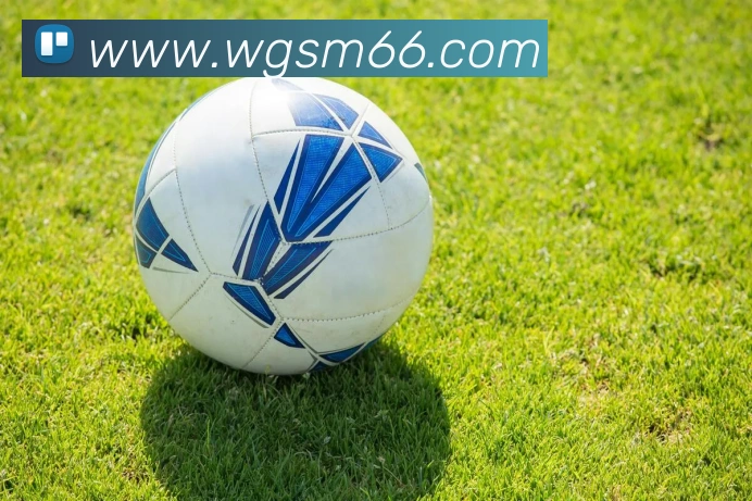 云开体育app官网入口app全站App 云开体育app官网入口app全站App